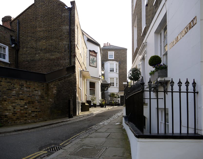 A narrow, paved residential street lined with leafless and partly green trees on the right side, with some trees leaning slightly over the pavement. On the right, there is a white wall and a brick bui